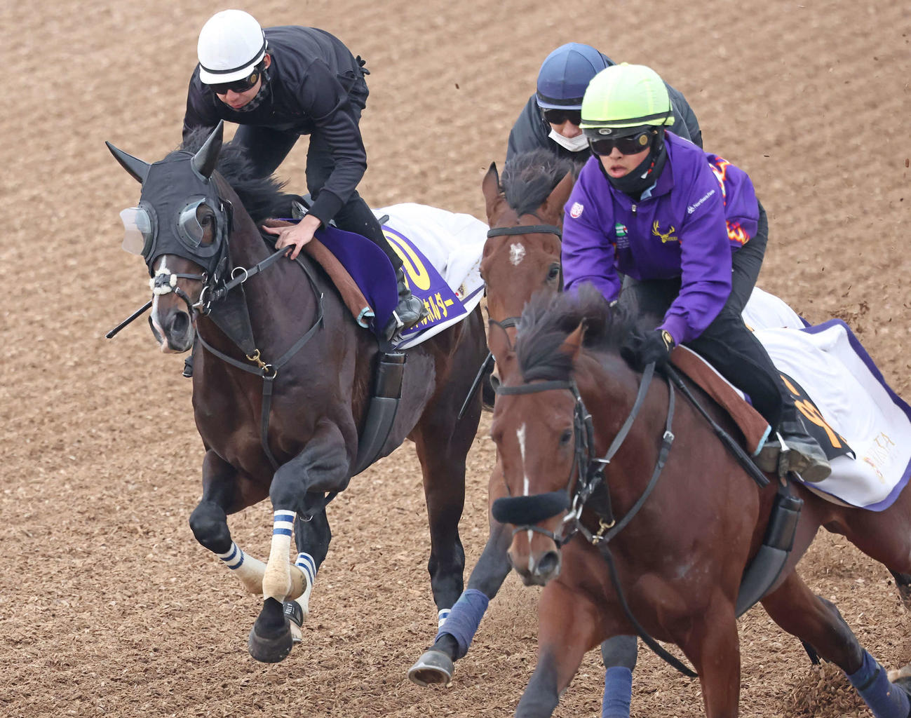 タイトルホルダー（左）は横山和騎手を背に3頭併せで最終調整を行った（撮影・丹羽敏通）