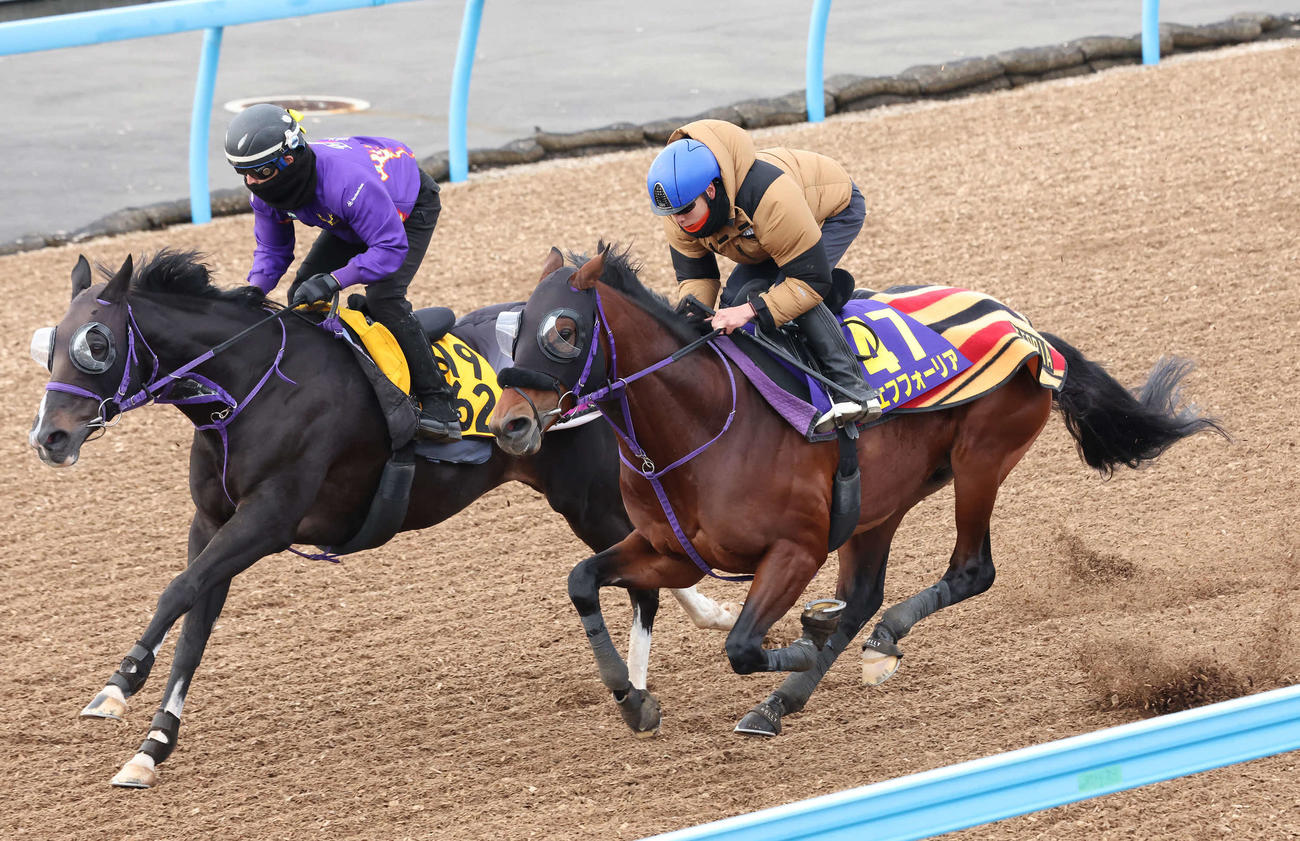 エフフォーリア（右）は横山武騎手を背に、後方から追い上げた内のルッジェーロと併入（撮影・丹羽敏通）