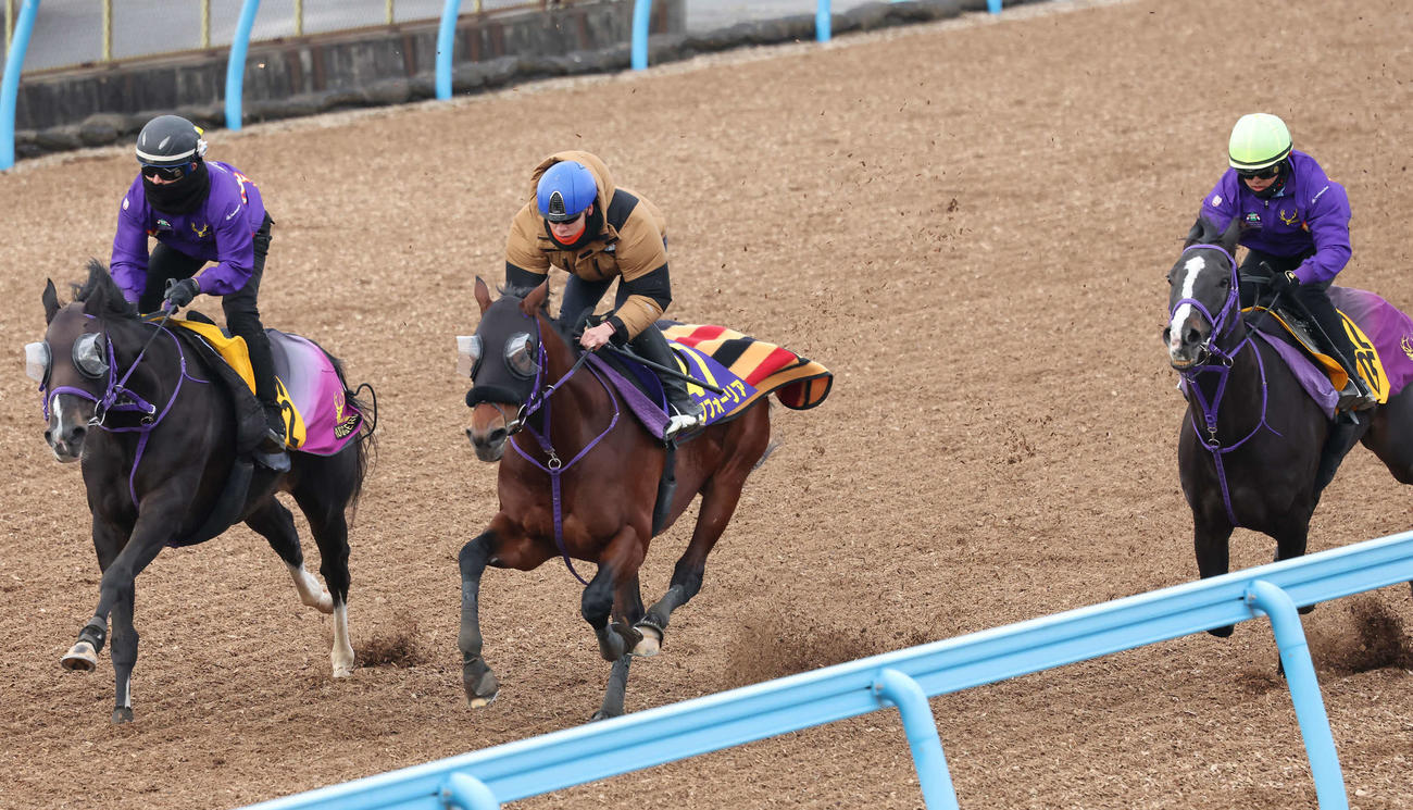 エフフォーリア（中央）は横山武騎手を背に3頭併せで最終調整を行った（撮影・丹羽敏通）