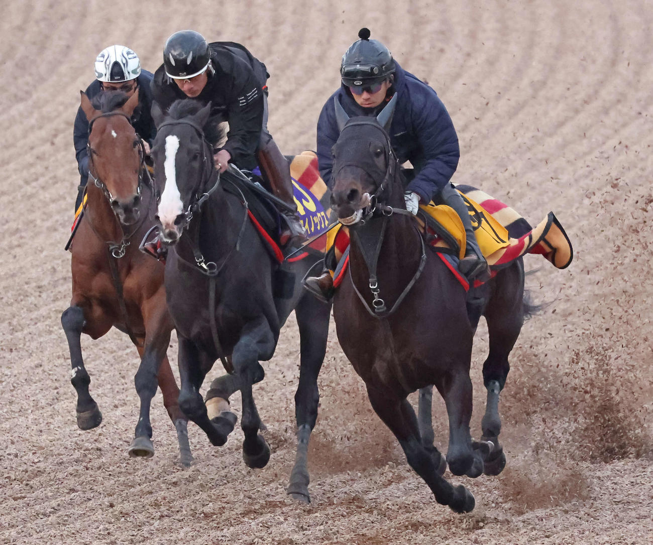 イクイノックス（中央）は美浦ウッドを3頭併せで追い切られた（撮影・丹羽敏通）
