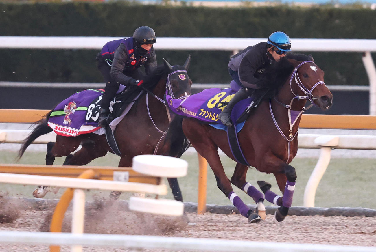福永騎手を背にCウッドをプロトポロス（左）と併せ馬で追い切るファントムシーフ（撮影・白石智彦）