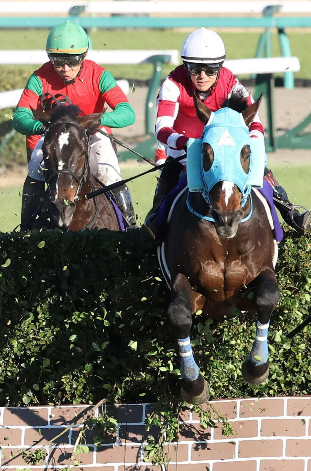 中山大障害で障害を飛越するオジュウチョウサンと石神騎手（右）（撮影・丹羽敏通）