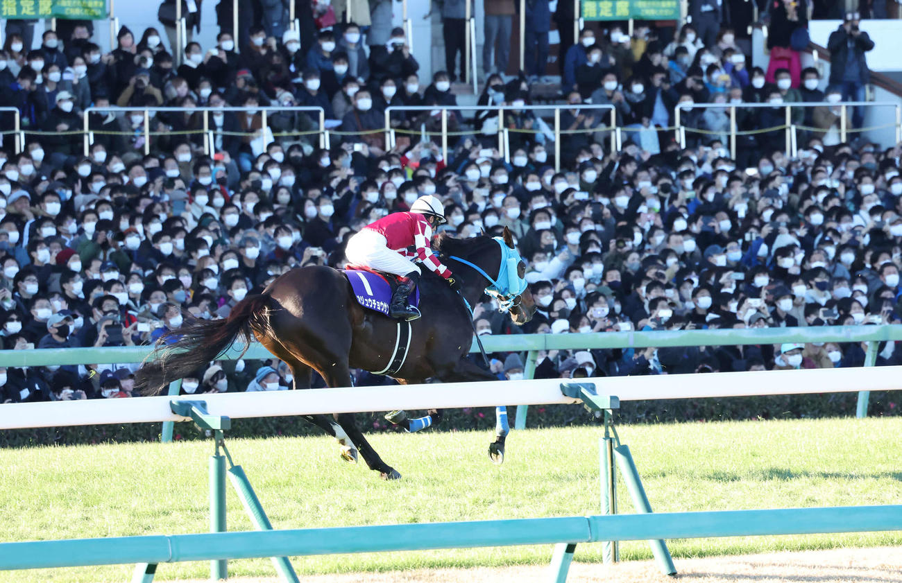中山大障害で観客の声援を受け、6着でゴールするオジュウチョウサンと石神騎手（撮影・丹羽敏通）