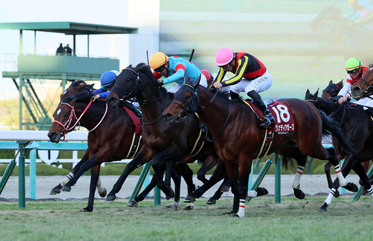 ゴール前、馬群を割り阪神カップを制するダイアトニックと岩田康騎手（左から3頭目）（撮影・加藤哉）