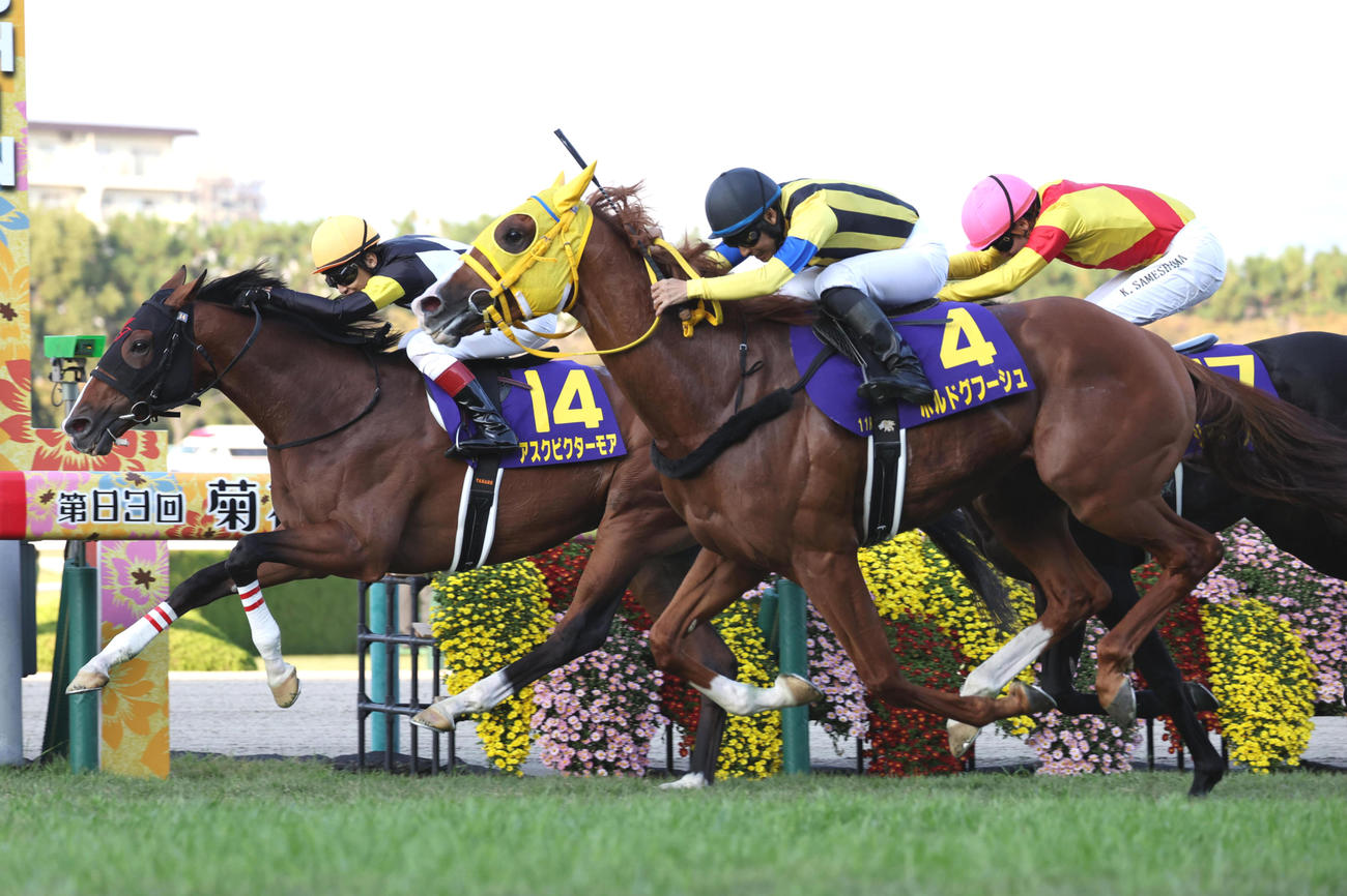 菊花賞2着に敗れたボルドグフーシュ（中央）。左は勝ったアスクビクターモア