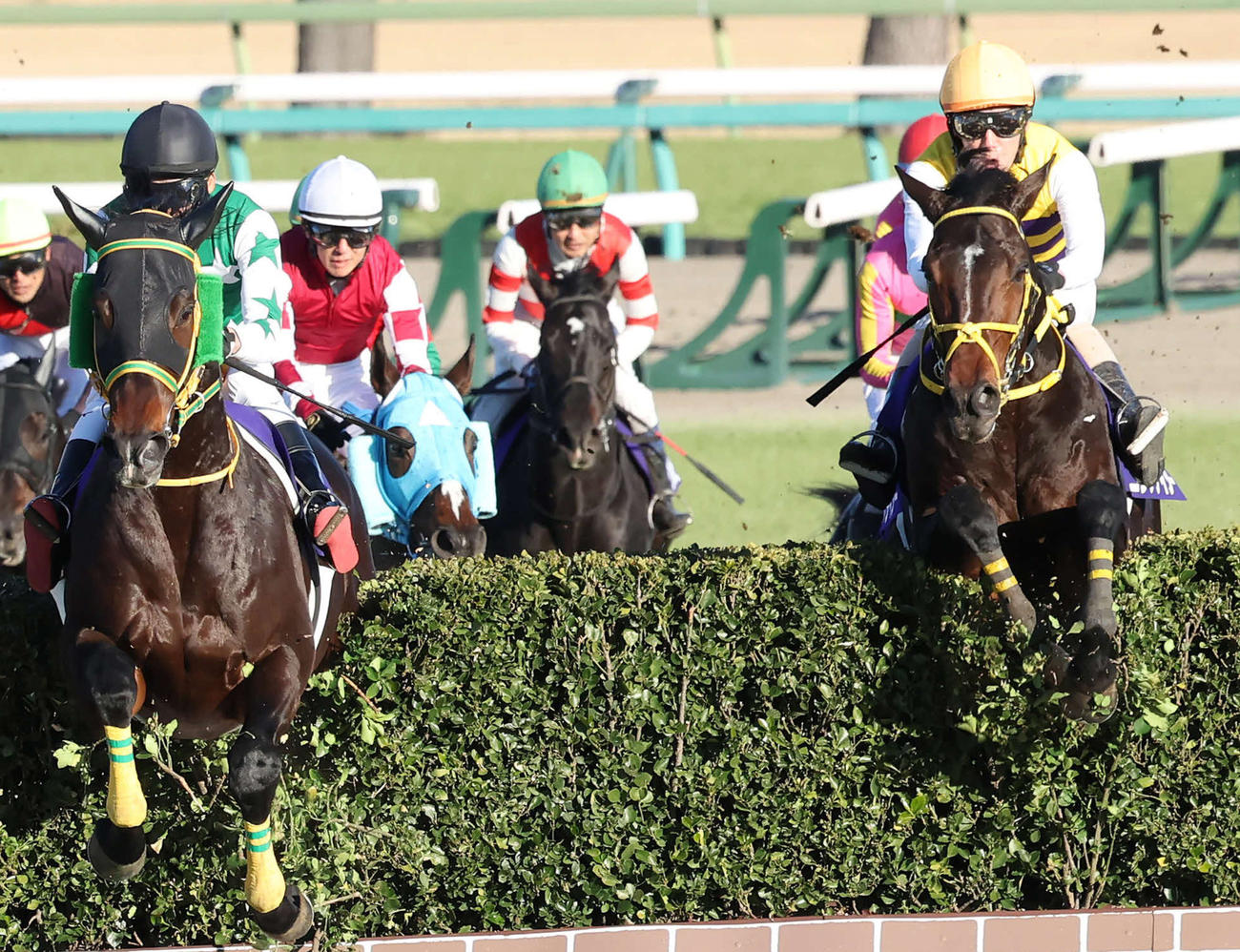 中山大障害を制したニシノデイジーと五十嵐騎手（右端）（撮影・丹羽敏通）