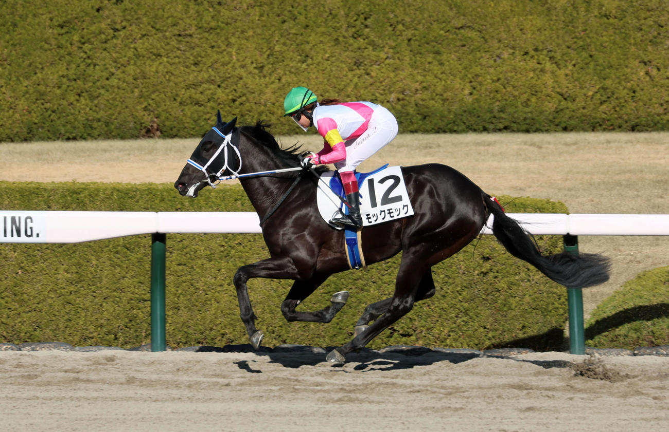 新馬戦を快勝するモックモックと今村聖奈騎手（撮影・加藤哉）