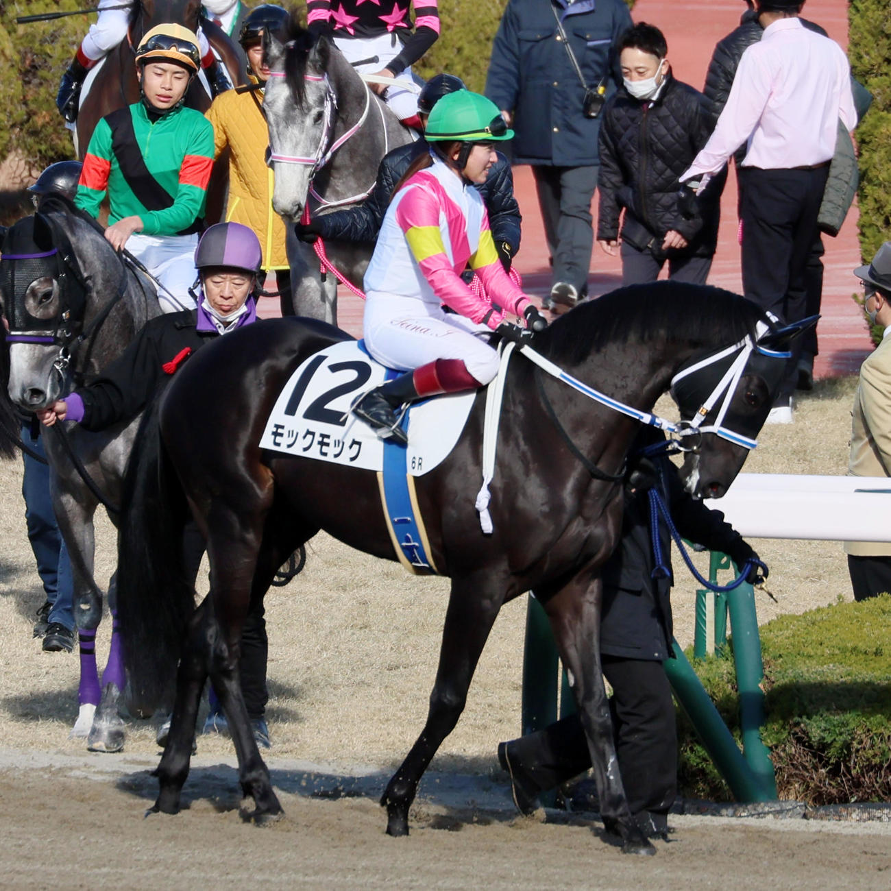 阪神6R　新馬戦　モックモックと今村聖奈騎手（撮影・加藤哉）