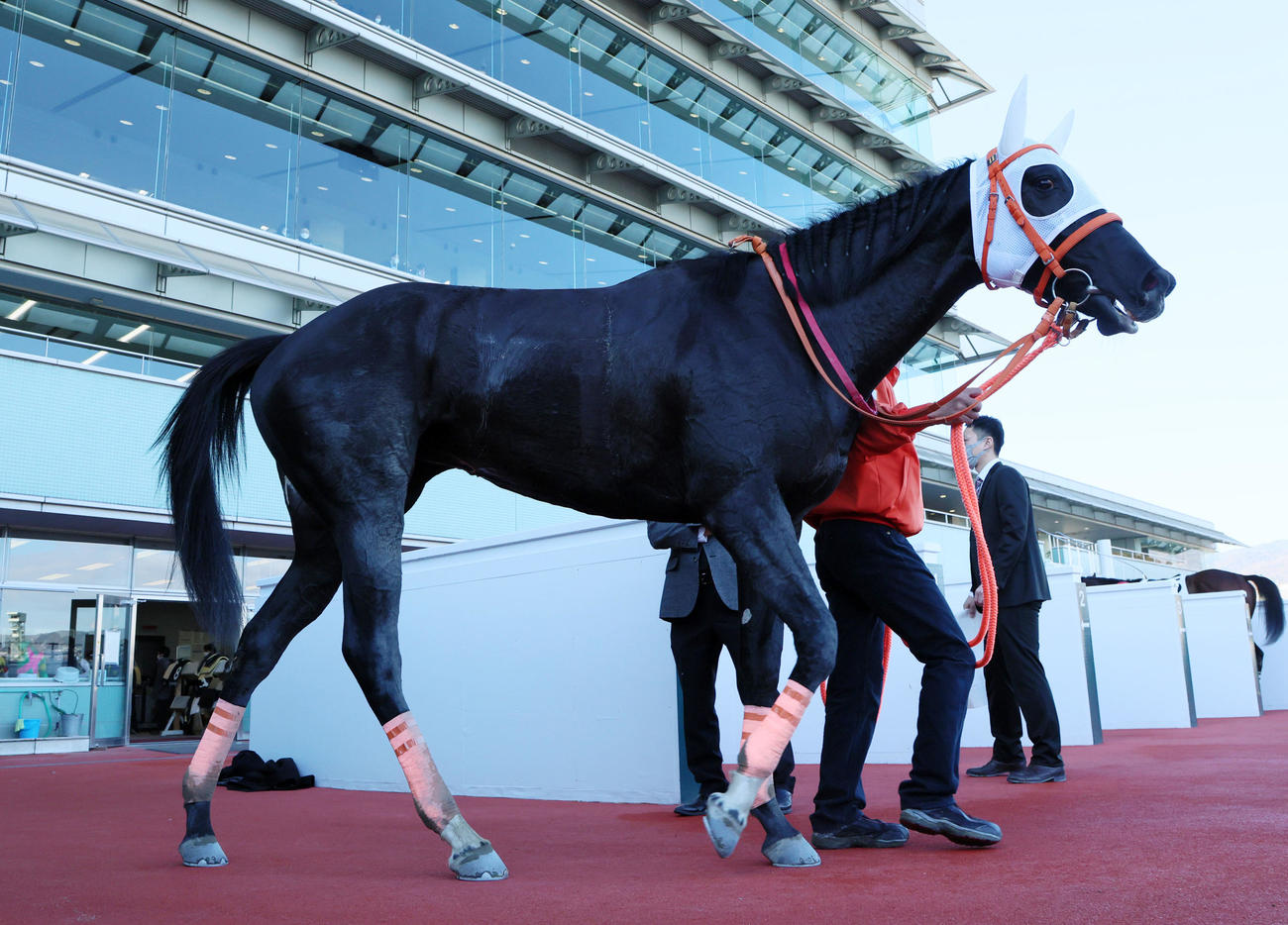 阪神1Rで1着のアルムエアフォルク（撮影・加藤哉）