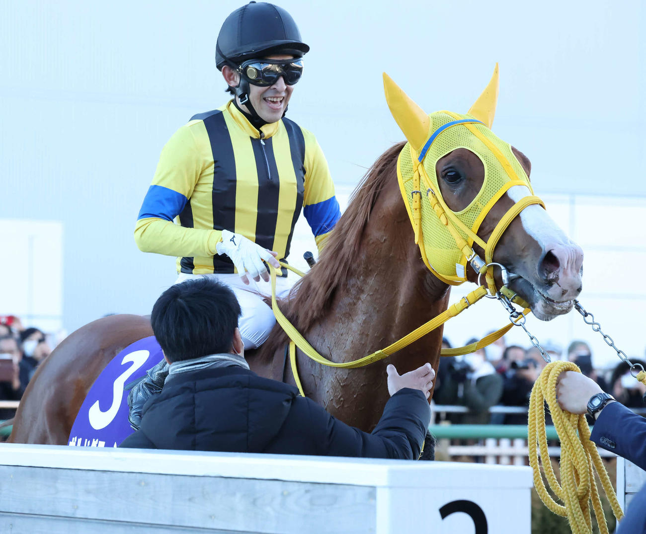 有馬記念で2着になったボルドグフーシュと福永騎手（撮影・丹羽敏通）