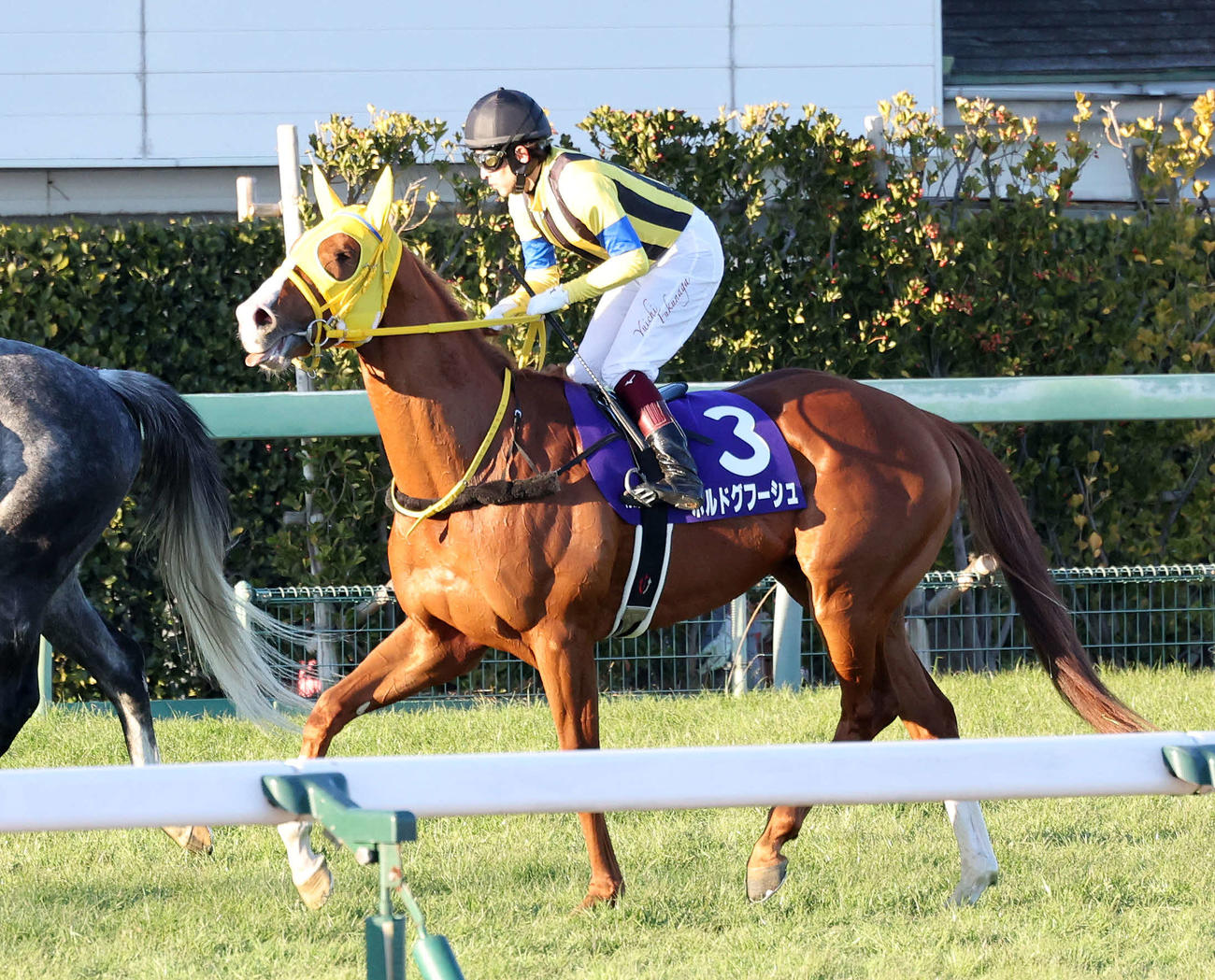 有馬記念2着のボルドグフーシュと福永祐一騎手（撮影・鈴木正人）