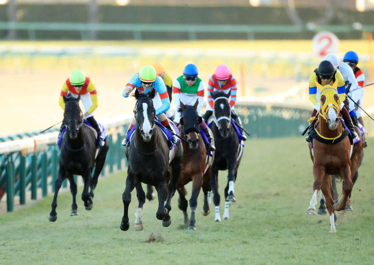 有馬記念を制したイクイノックスとルメール騎手（左から2頭目）。右は2着ボルドグフーシュ