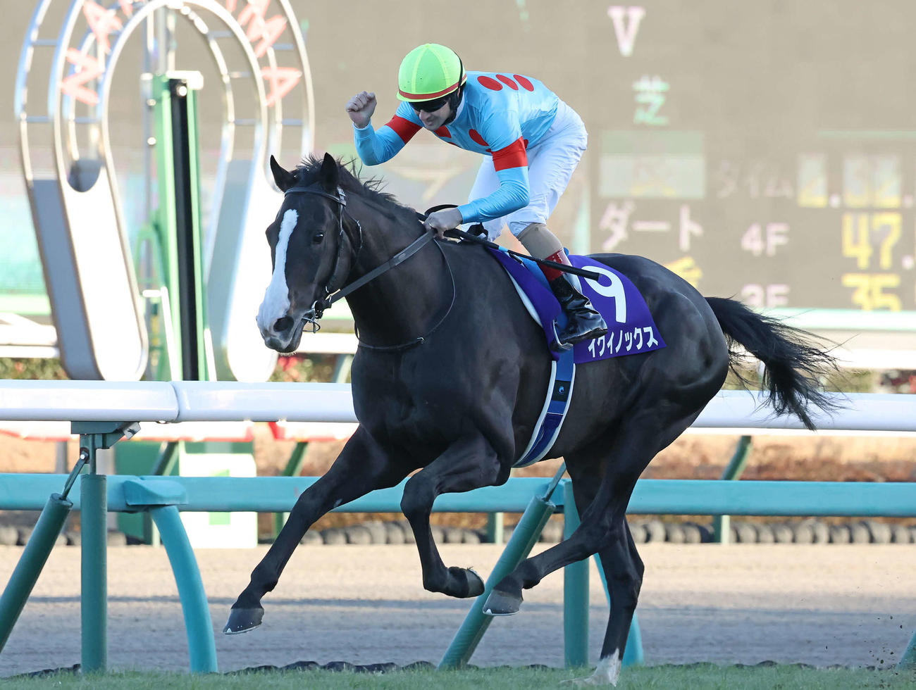 中山11R、イクイノックスで有馬記念を制してガッツポーズを決めるルメール騎手（撮影・丹羽敏通）