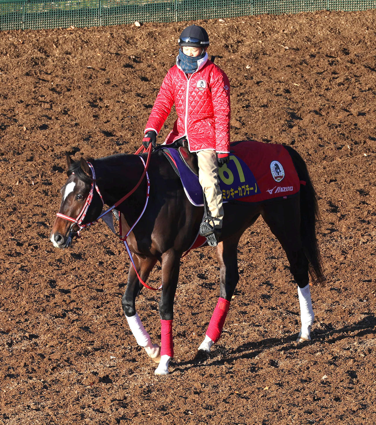 角馬場で運動するミッキーカプチーノ（2022年12月20日撮影）