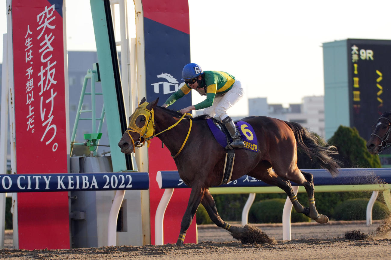 東京大賞典を制したウシュバテソーロと横山和騎手（撮影・狩俣裕三）