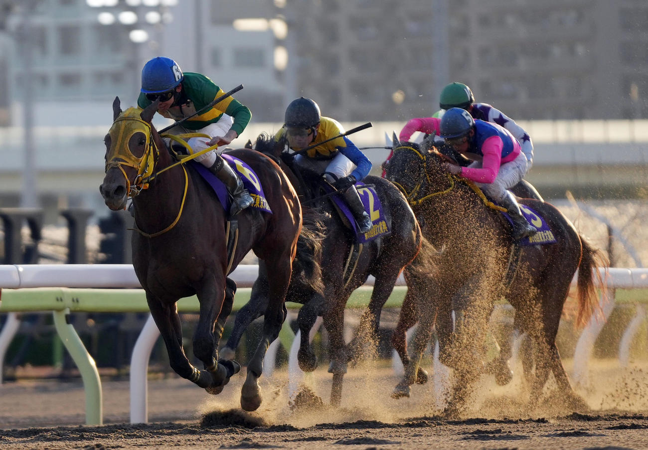 東京大賞典を制したウシュバテソーロと横山和騎手（撮影・狩俣裕三）