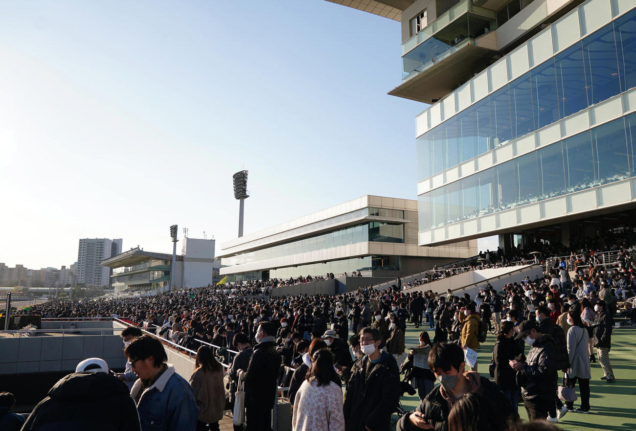 東京大賞典のレース前、スタンドに集まった多くの競馬ファン（撮影・狩俣裕三）