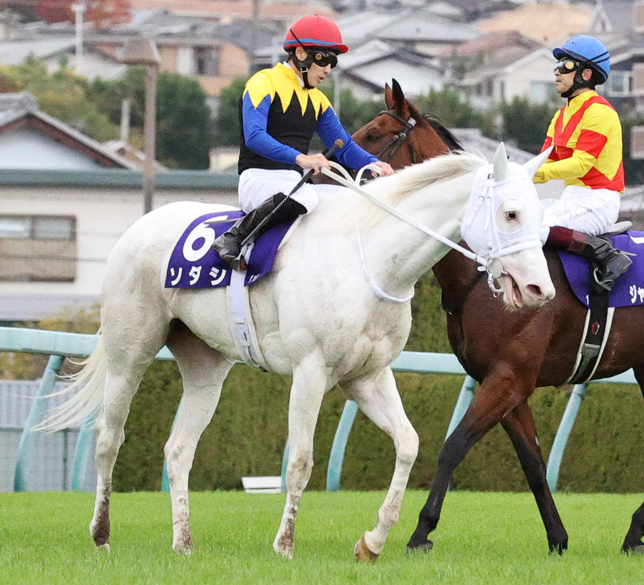 マイルCS、3着に終わったソダシ（手前）と吉田隼騎手（2022年11月20日撮影）