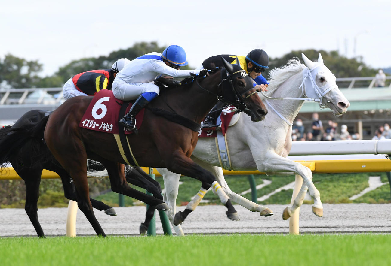 府中牝馬Sを制したイズジョーノキセキ（左）、2着ソダシ（2022年10月15日撮影）