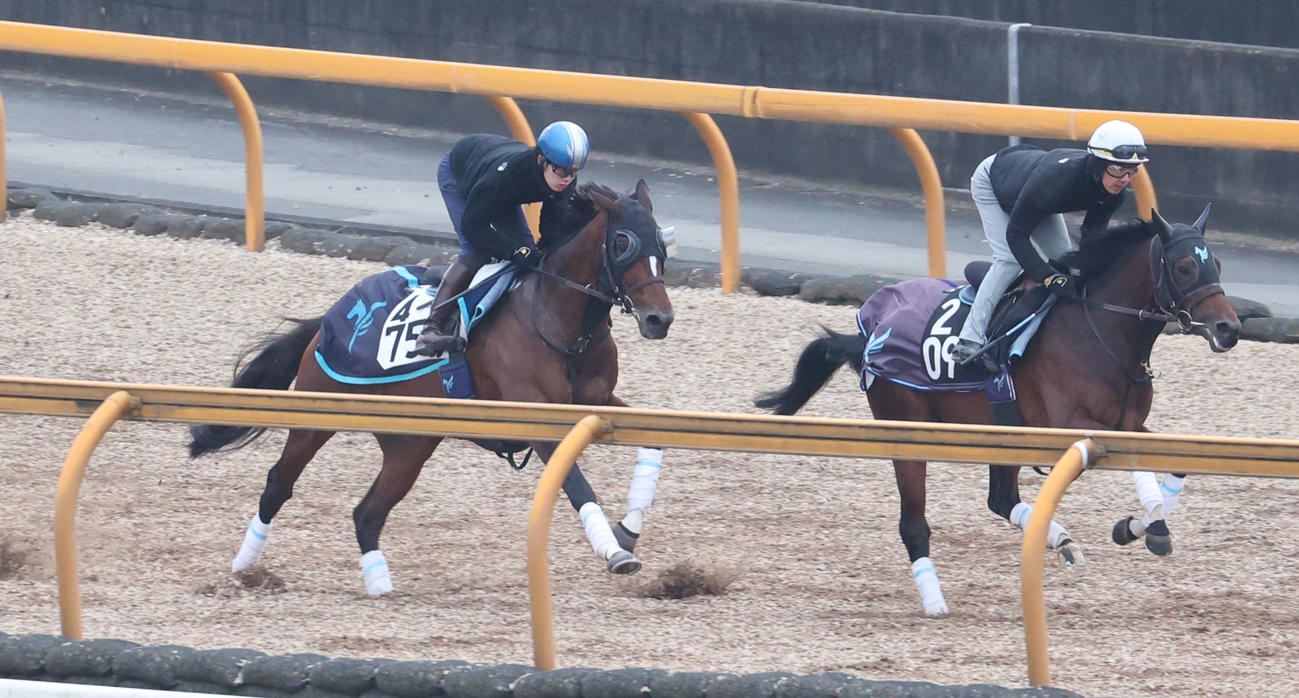 カレンルシェルブル（左）はCウッドでオメガリッチマンと併せて追い切られた
