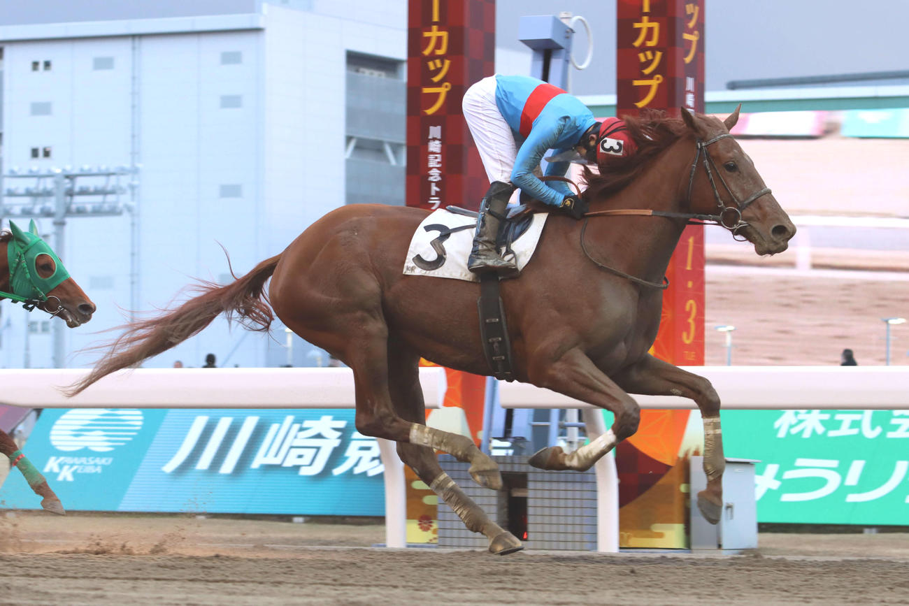 直線で抜け出し百人一首賞を制したケウは牝馬最高体重勝利記録を更新