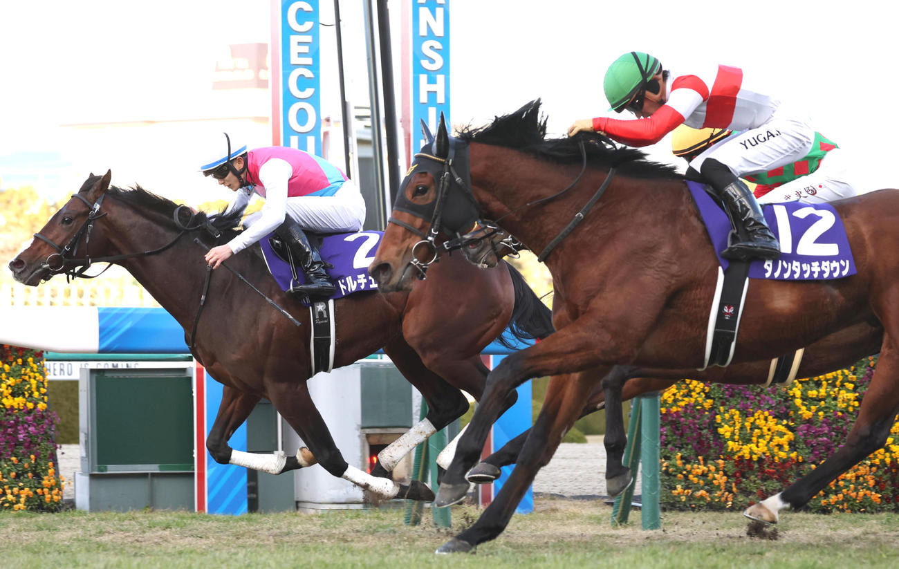 朝日杯FS2着に敗れたダノンタッチダウン（右）。左は勝ったドルチェモア（2022年12月18日）