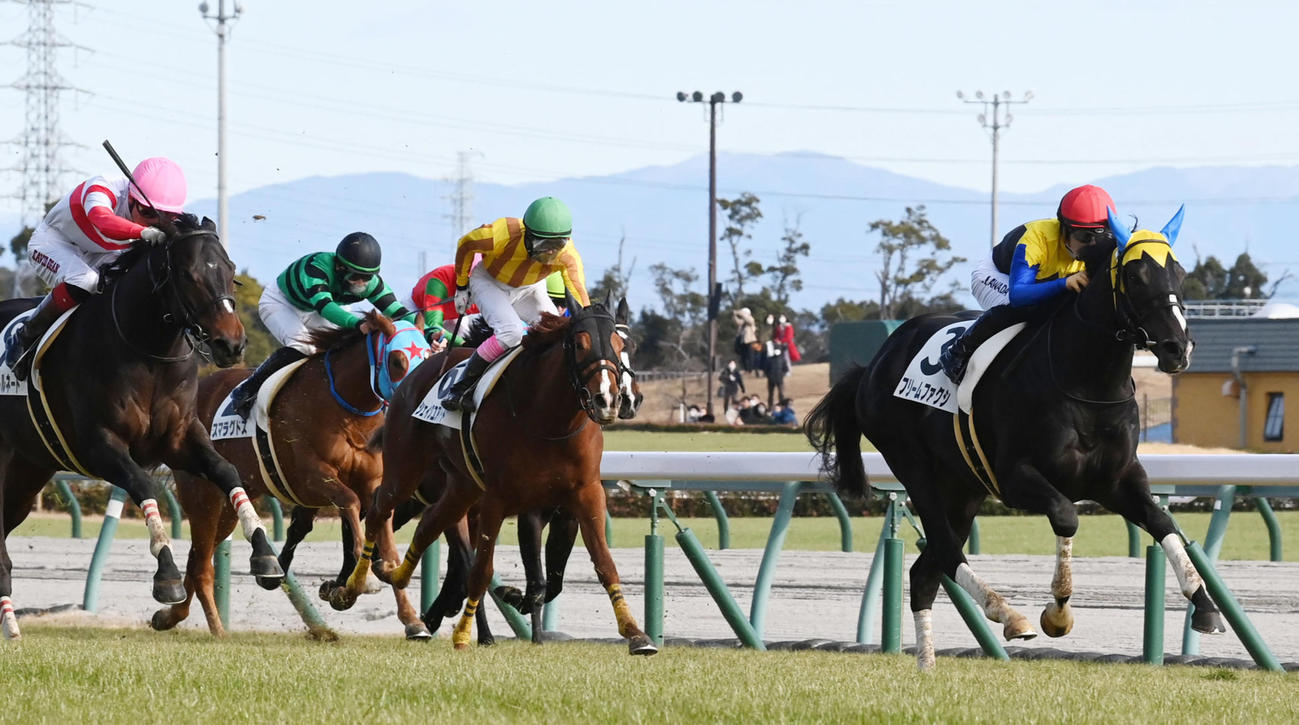 中京6Rの3歳1勝クラスを制したフリームファクシ（右）（撮影・前岡正明）
