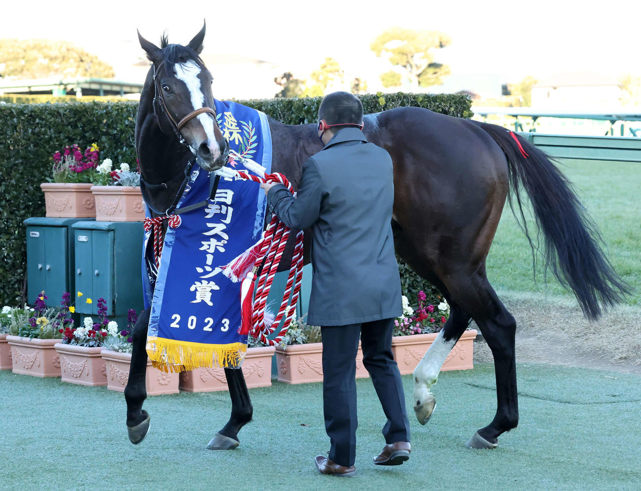 日刊スポーツ賞中山金杯を制し優勝レイを掛けられるラーグルフ（撮影・丹羽敏通）