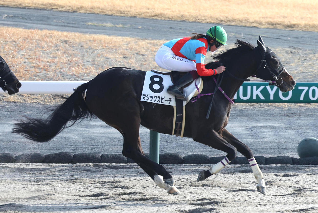 中京7R、今村騎手を背に4歳以上1勝クラスを制したマジックスピーチ（撮影・白石智彦）