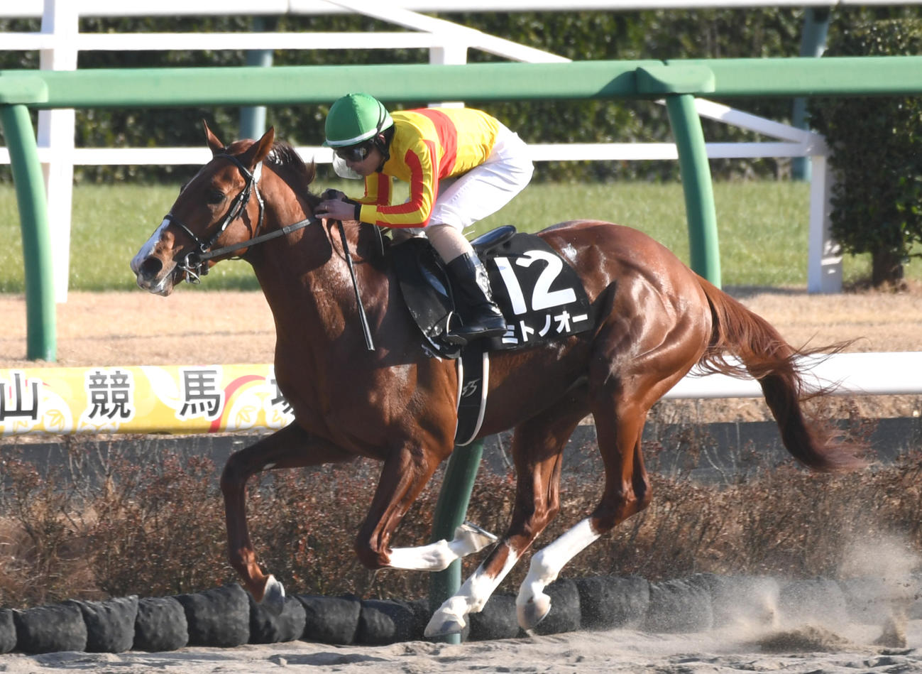 黒竹賞を制したミトノオーと木幡巧騎手（撮影・柴田隆二）