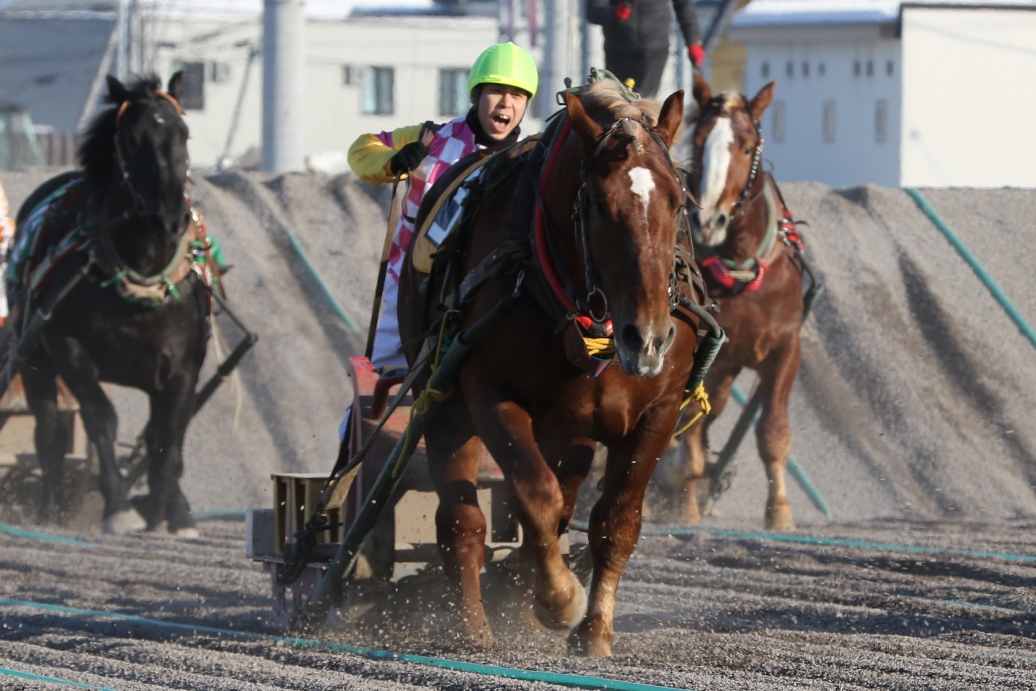 7日帯広第3Rイワキテンリュウで、騎手デビュー後初勝利を挙げた小野木（ばんえい十勝提供）