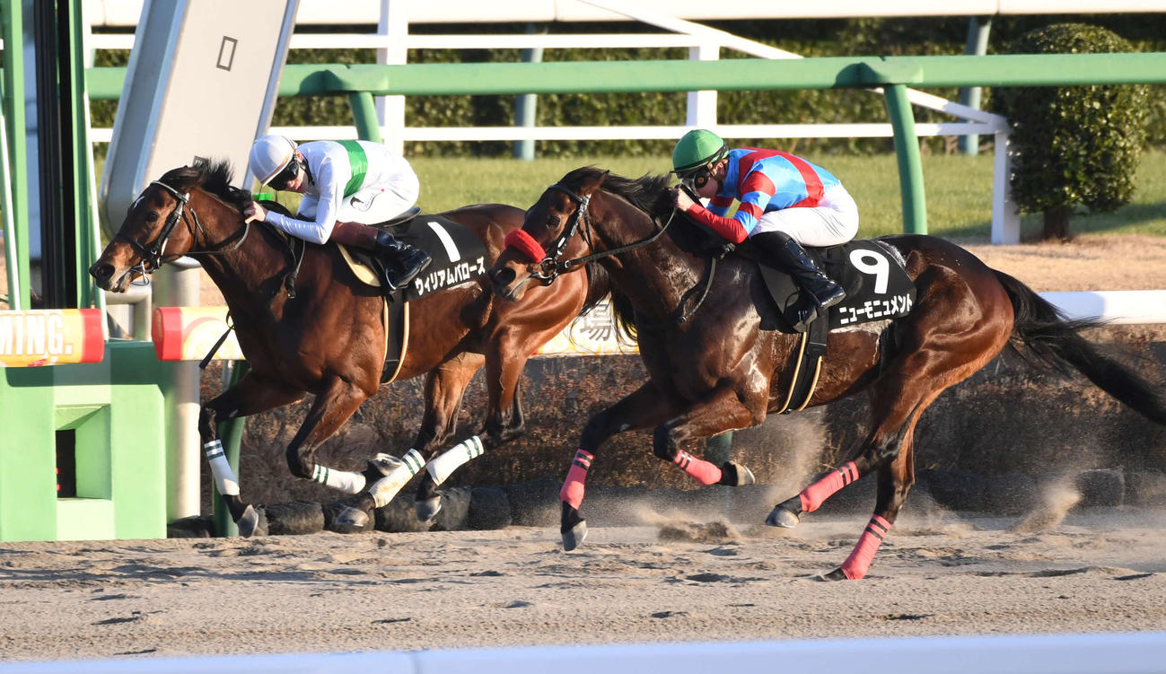 中山11R、ポルックスSを制したニューモニュメント（右）、2着ウィリアムバローズ（撮影・柴田隆二）