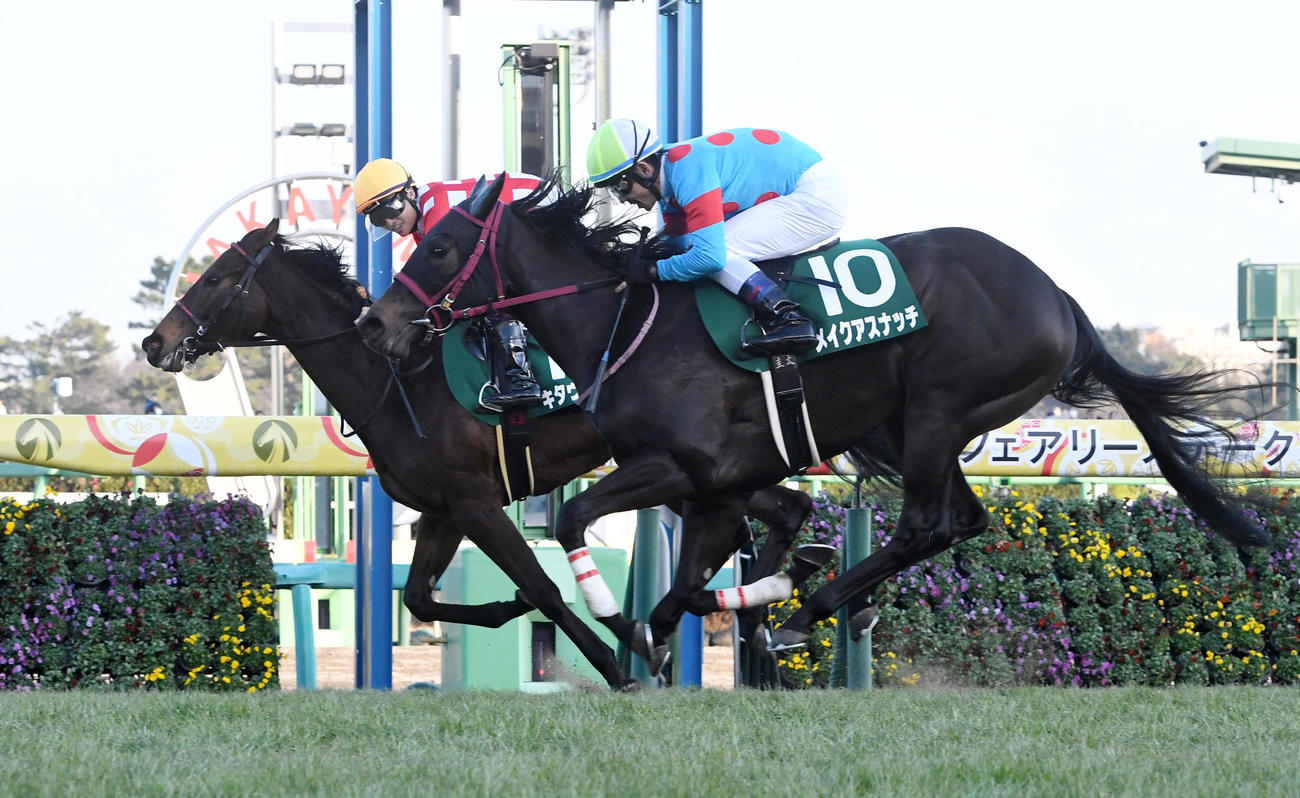 フェアリーSを制したキタウイング（奥）、2着メイクアスナッチ（撮影・柴田隆二）