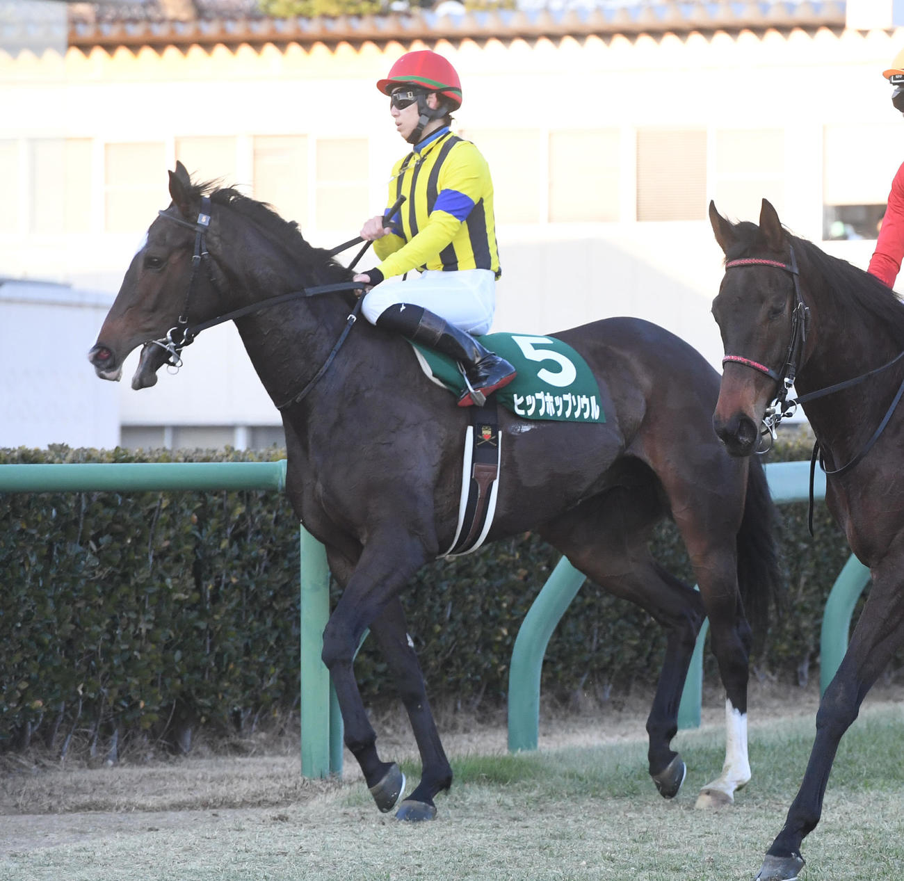 フェアリーSで11着に敗れたヒップホップソウルと松山騎手（撮影・柴田隆二）