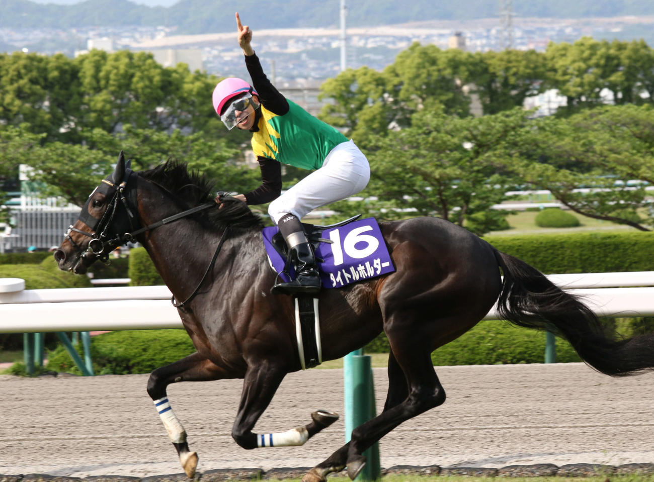 天皇賞・春を制したタイトルホルダー（2022年5月1日撮影）