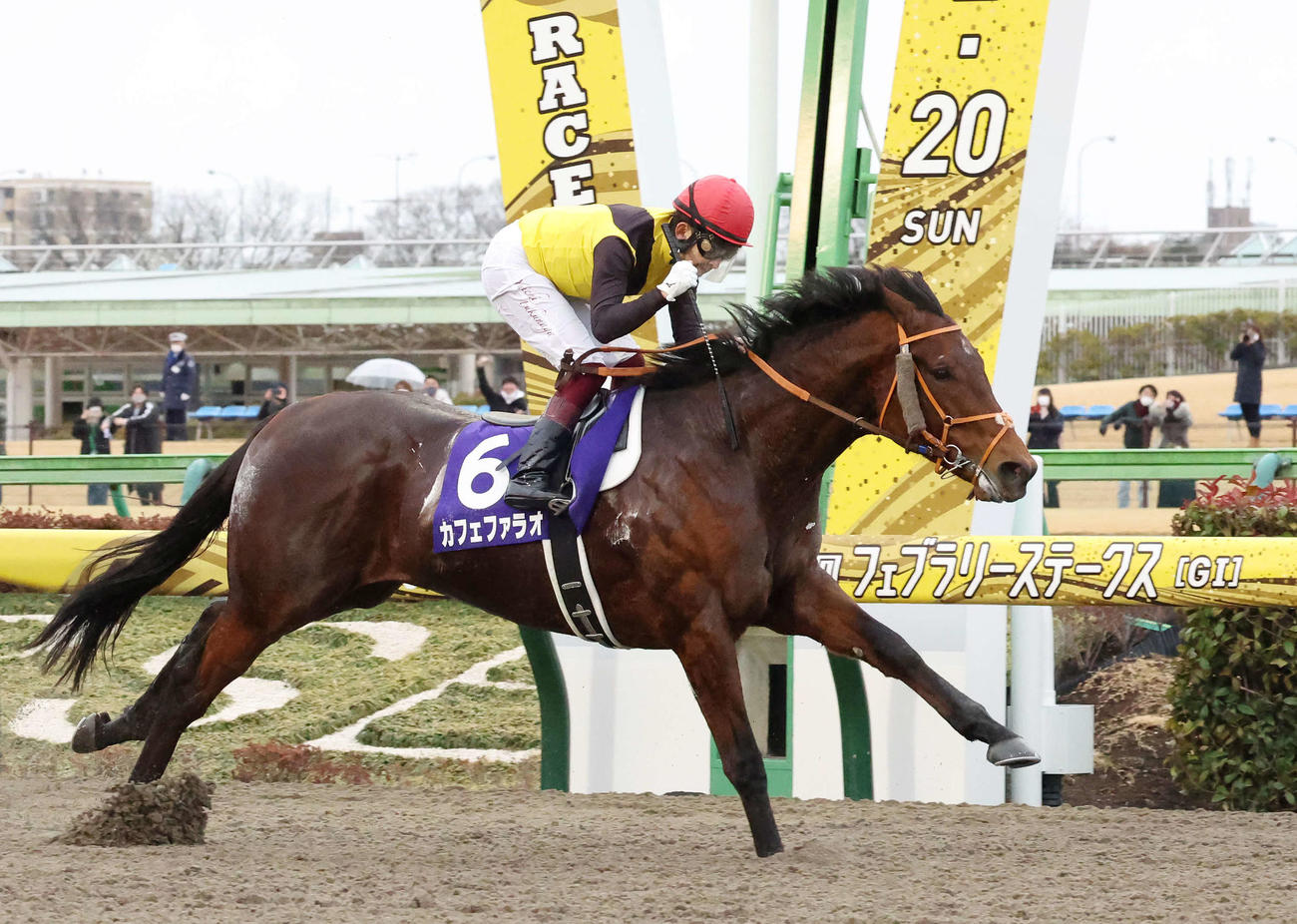 フェブラリーSを制したカフェファラオ（2022年2月20日撮影）
