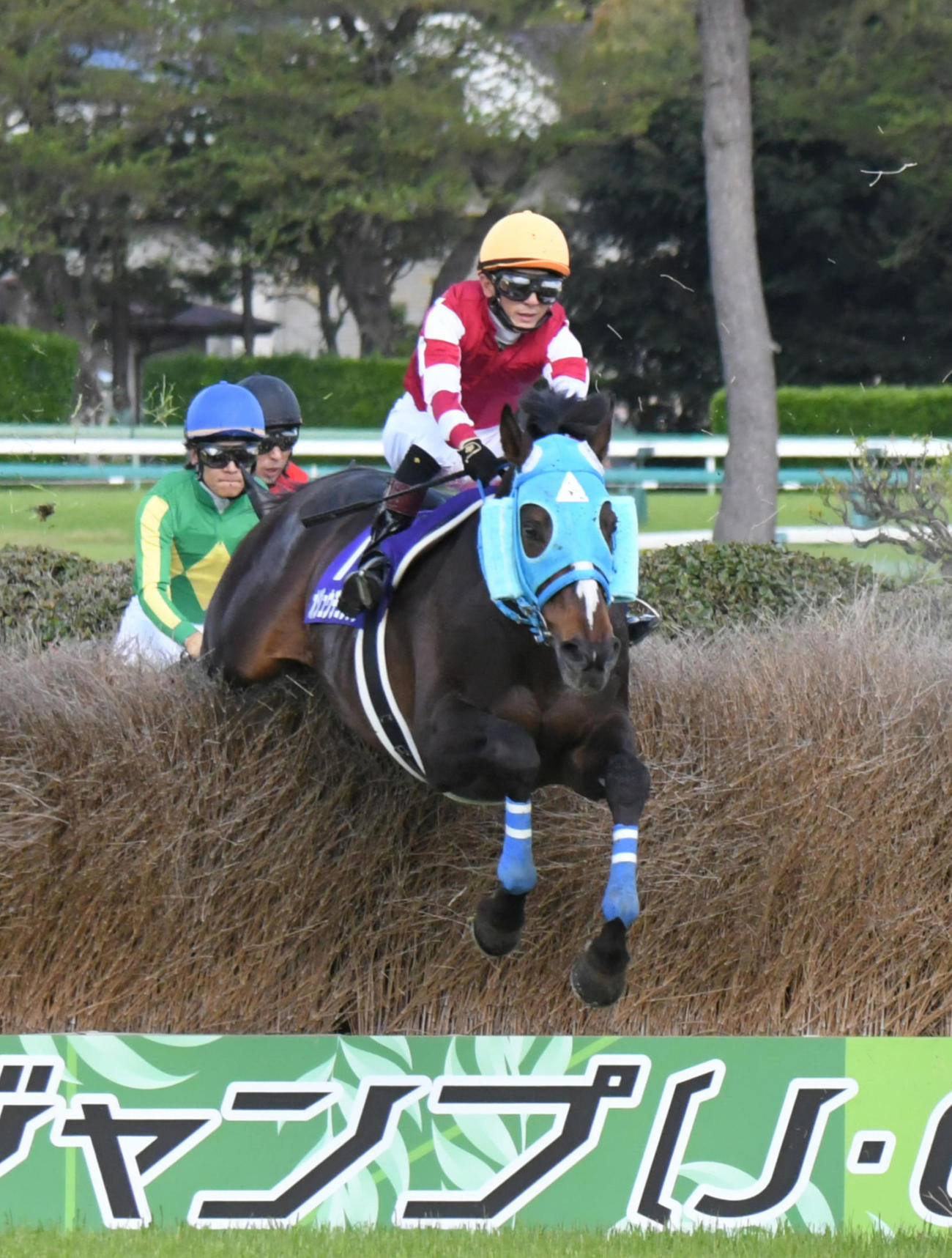 中山グランドジャンプを制したオジュウチョウサン（2022年4月16日撮影）
