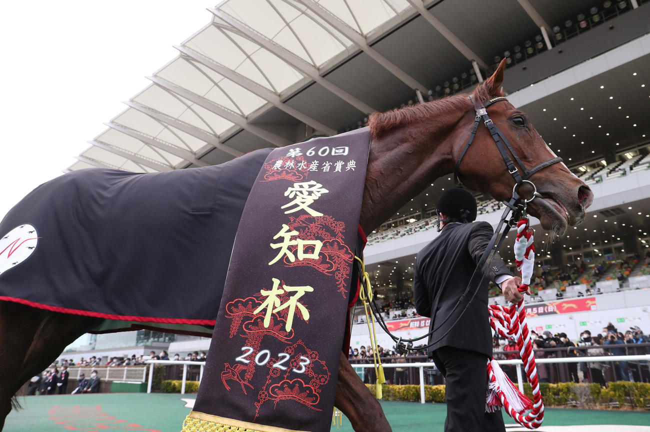 中京11R愛知杯を制したアートハウス（撮影・白石智彦）