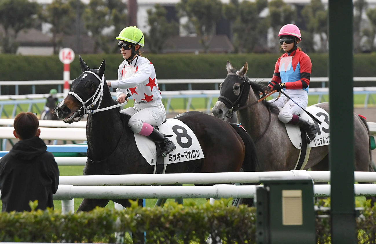 小倉1R、3歳未勝利を制したミッキーマカロンと永島まなみ騎手（左）、シュテルンロットと今村聖奈騎手（右）（撮影・岩下翔太）