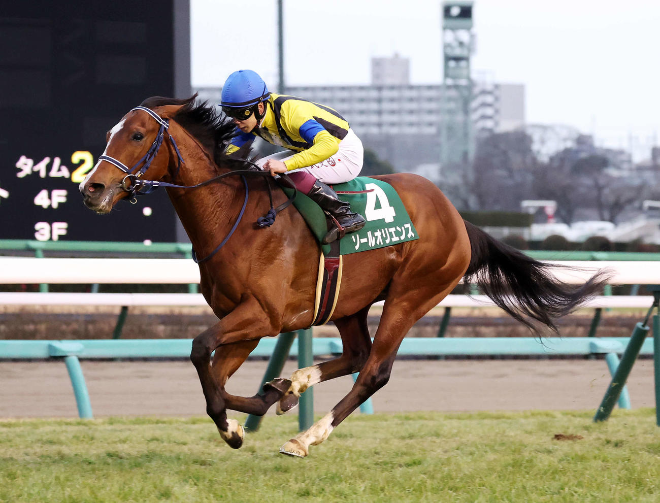 京成杯を制したソールオリエンスと横山武史騎手（撮影・鈴木正人）