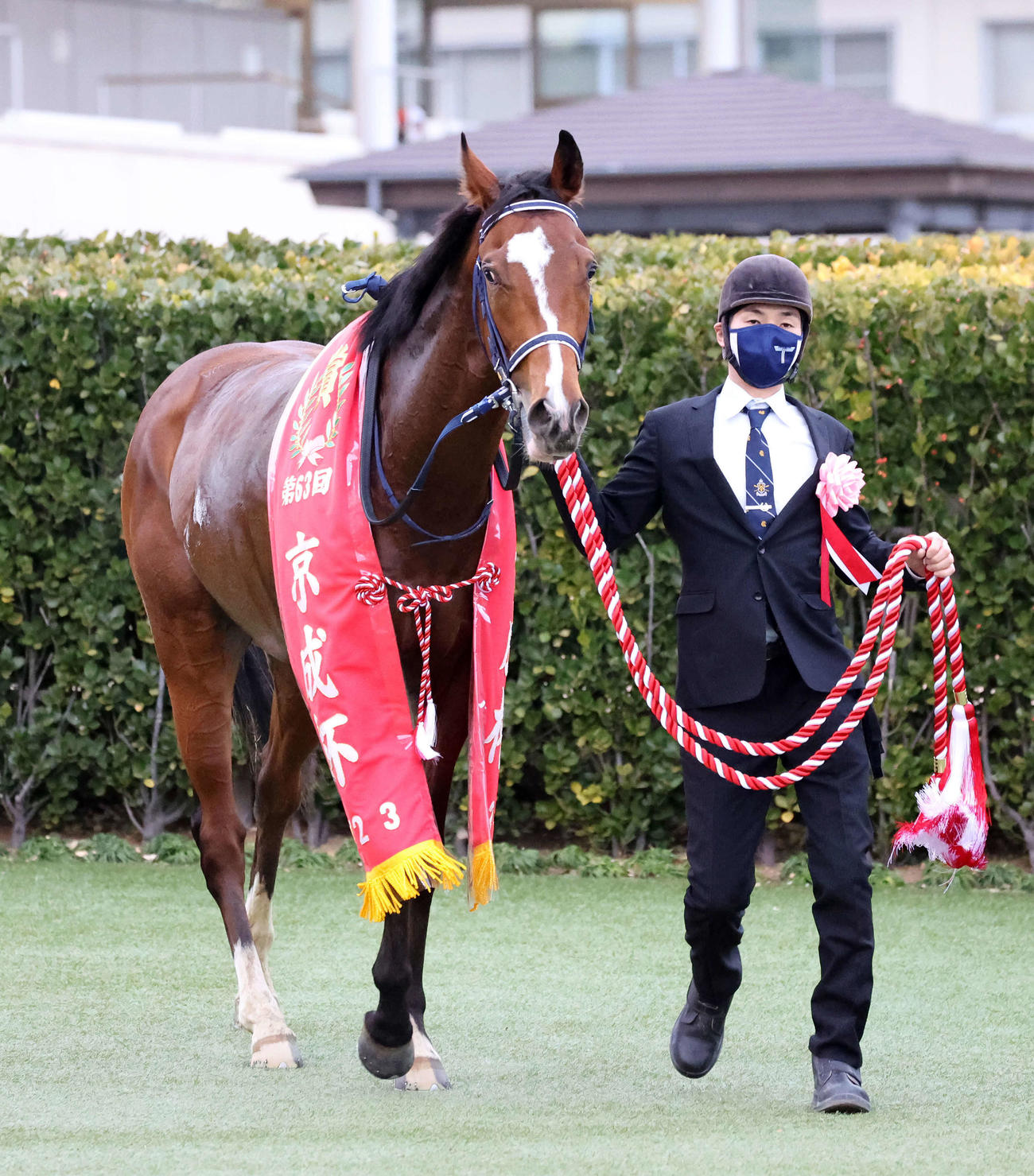 京成杯を制したソールオリエンス（撮影・鈴木正人）