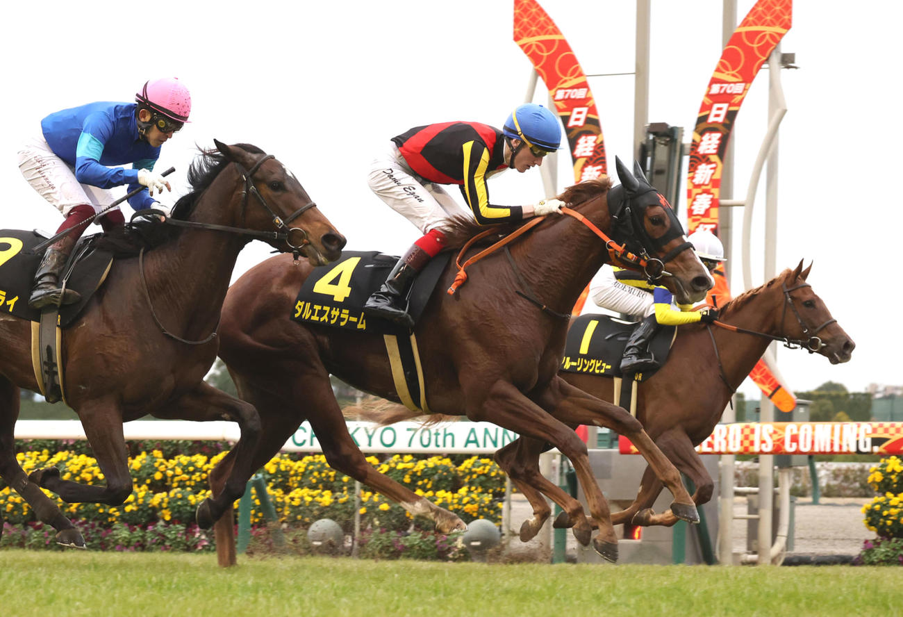 紅梅Sを制したダルエスサラーム（中央）とイーガン騎手（撮影・白石智彦）