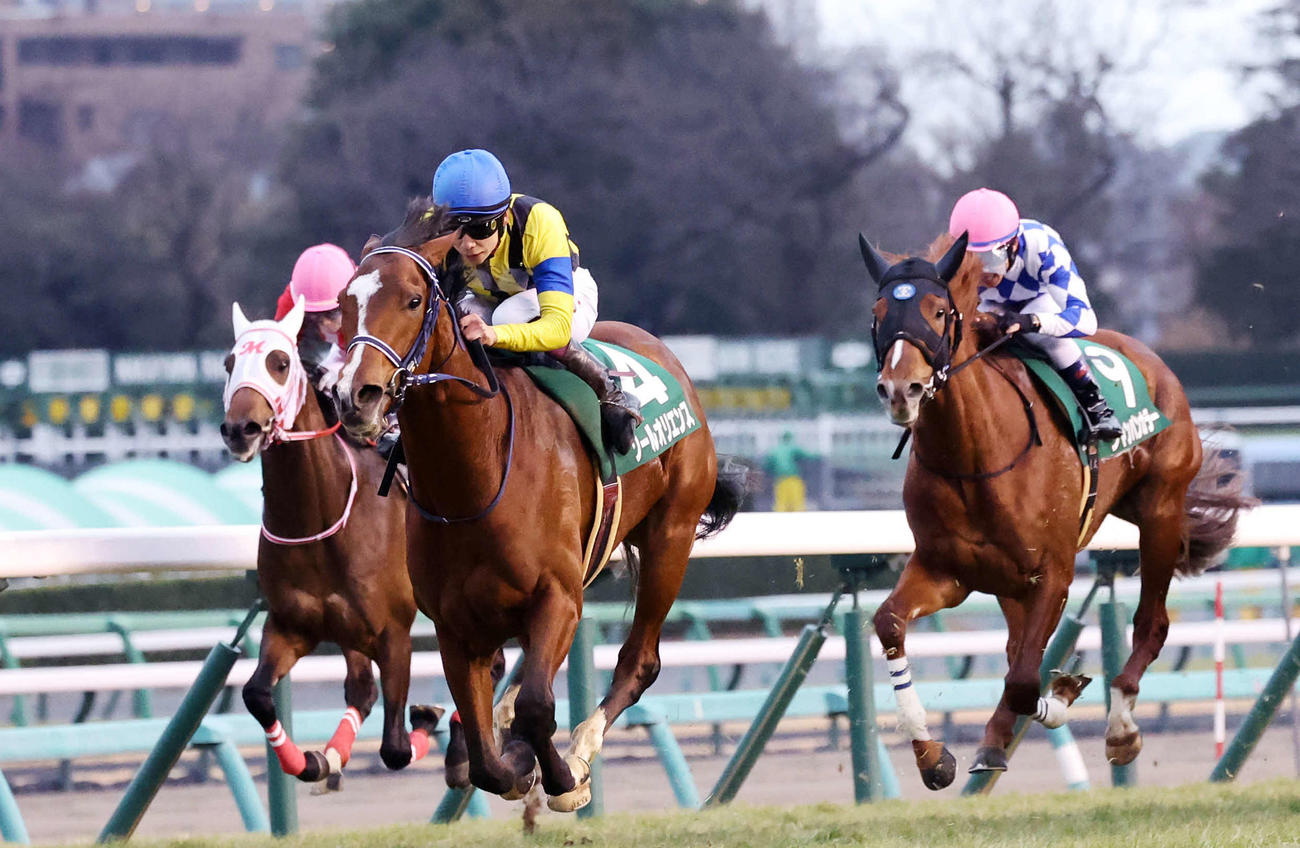 京成杯を制したソールオリエンスと横山武史騎手（中央）（撮影・鈴木正人）