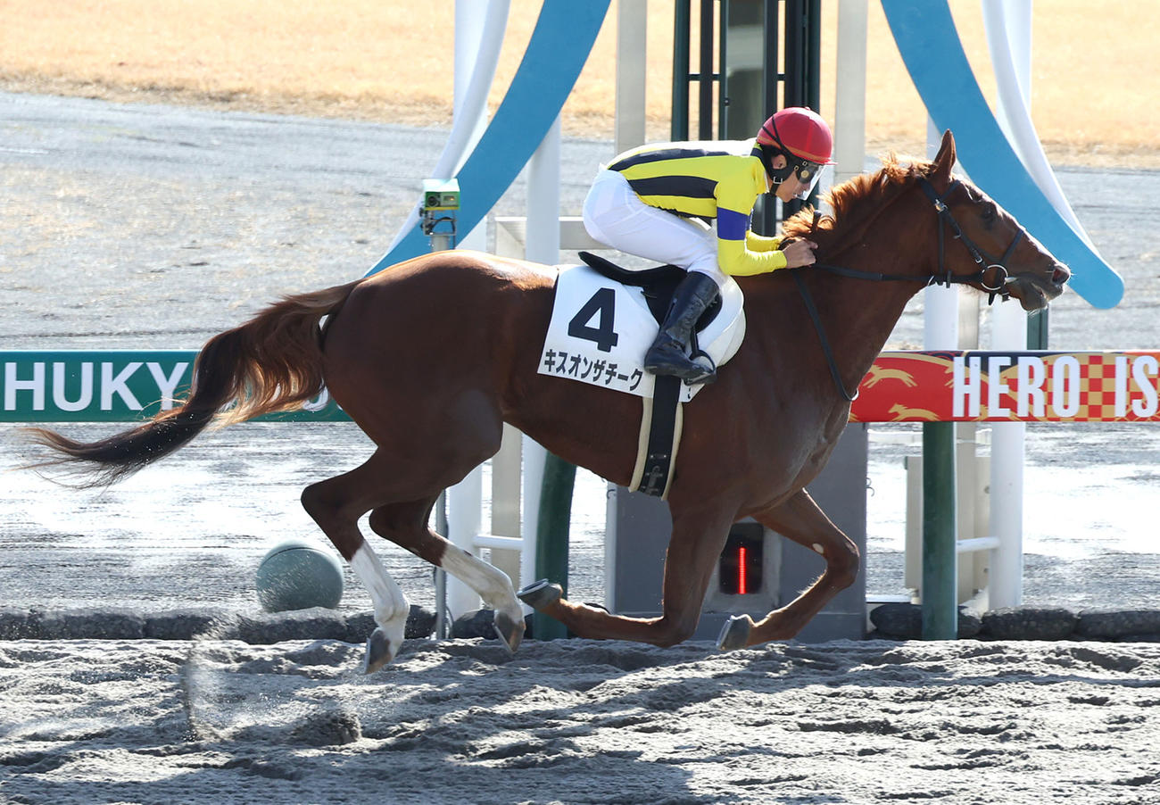 新馬戦を制したキスオンザチーク（撮影・白石智彦）