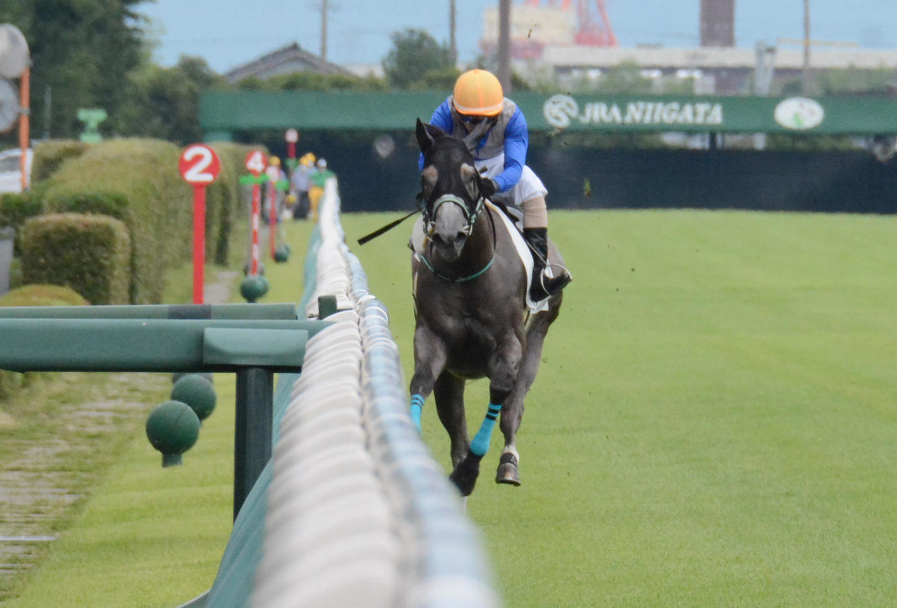 直線で外に斜行するもデビュー戦を制したリフレイム（2020年7月撮影）