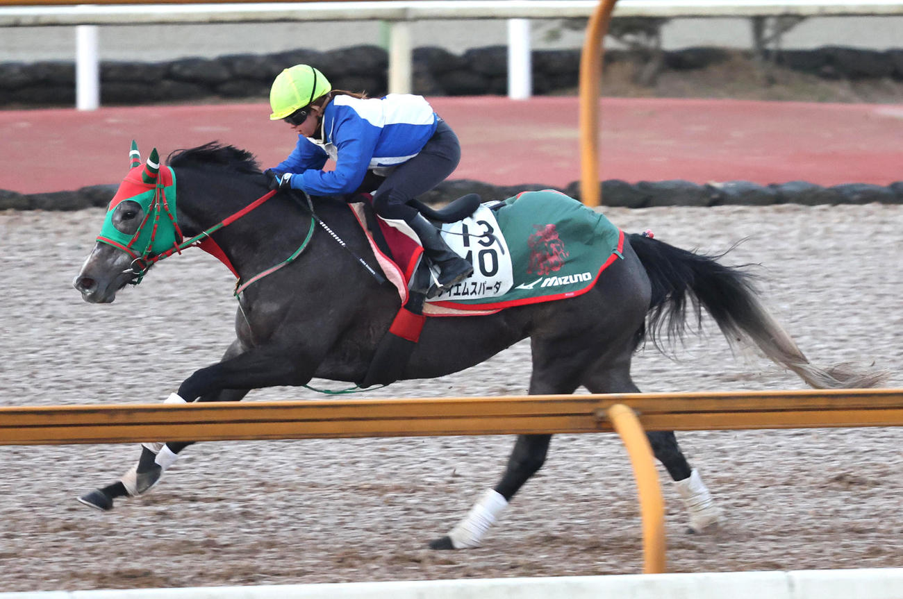 今村騎手を背にCウッドを単走で追い切るテイエムスパーダ（撮影・白石智彦）