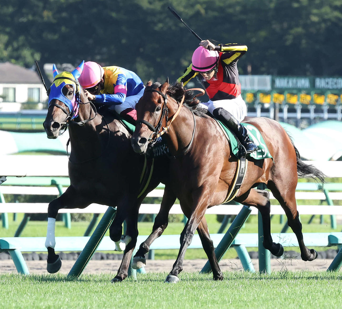 紫苑Sを制したスタニングローズと坂井騎手（右）（2022年9月10日撮影）
