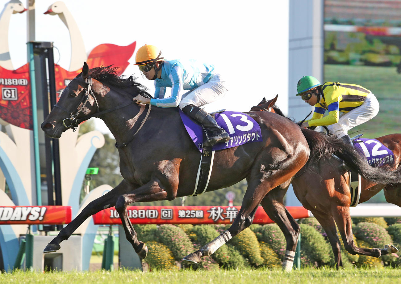 20年秋華賞を制し史上初の無敗の3冠牝馬に輝いたデアリングタクト