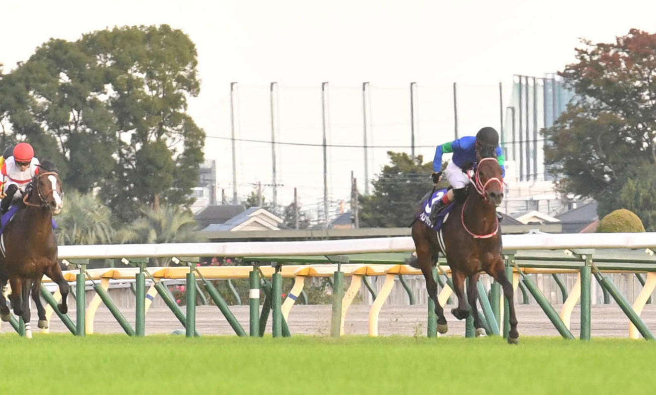 パンサラッサ（2022年10月30日撮影）