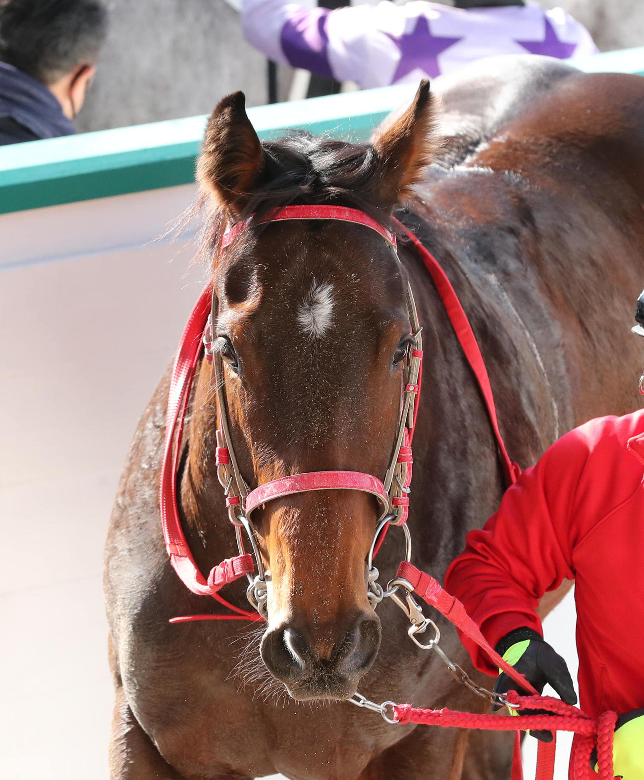 小倉3R新馬戦を制したメタマックス（撮影・梅根麻紀）